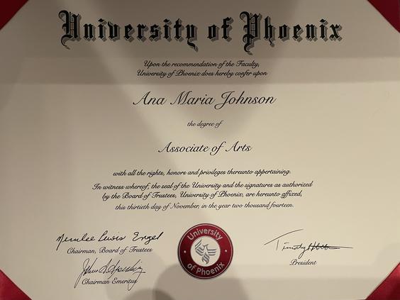 Univ. Phoenix Inst. Healthcare/Crim Justice