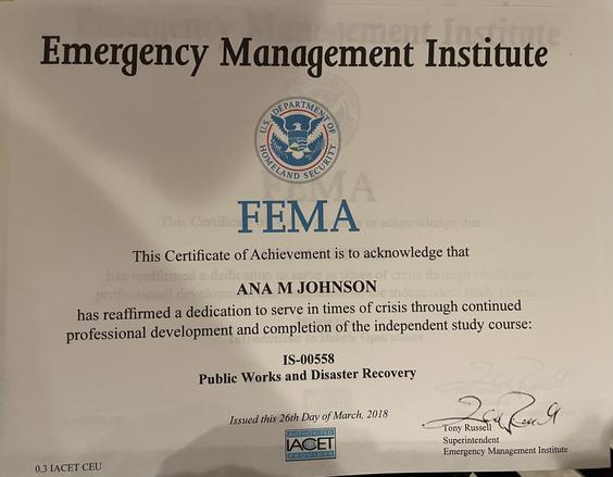 FEMA11