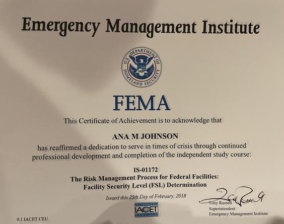 FEMA8